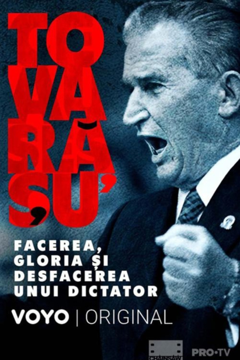 Tovarășu': facerea, gloria și desfacerea unui dictator poster background
