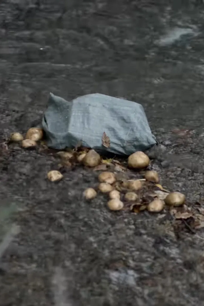 The Potato Eaters poster background