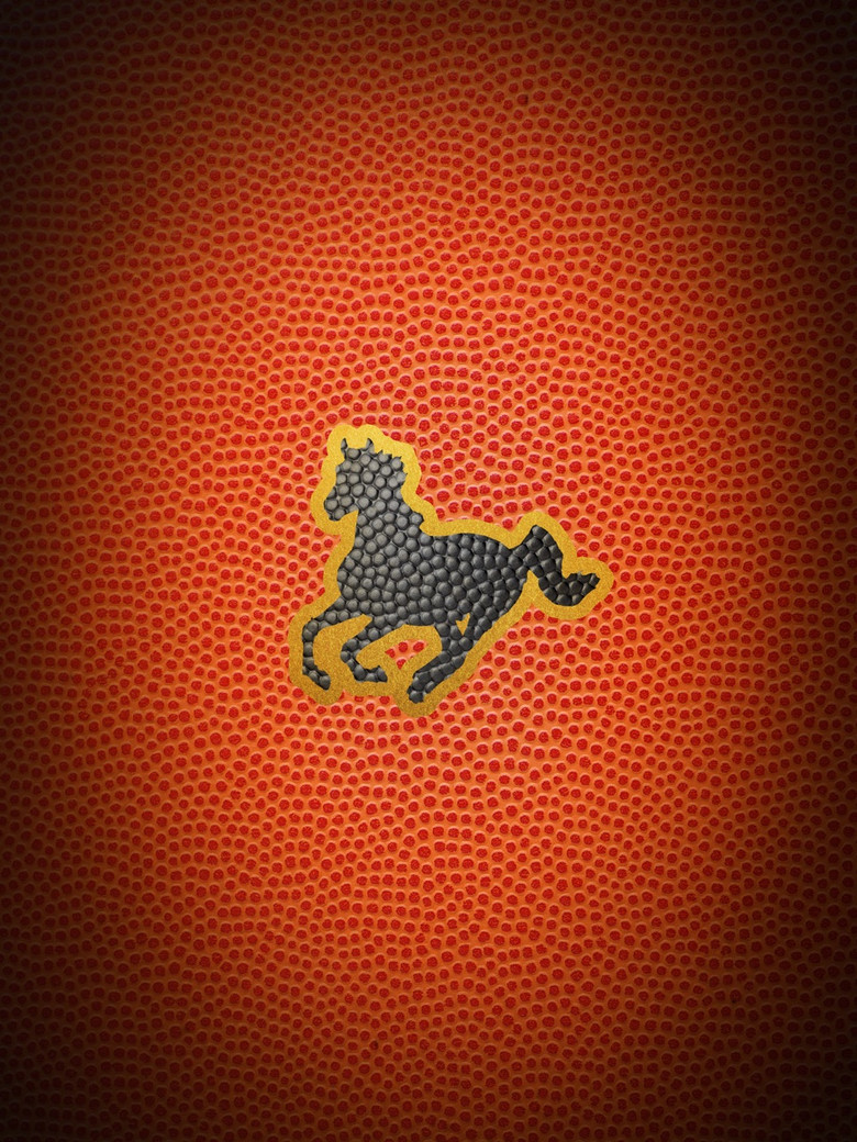 HORSE poster background