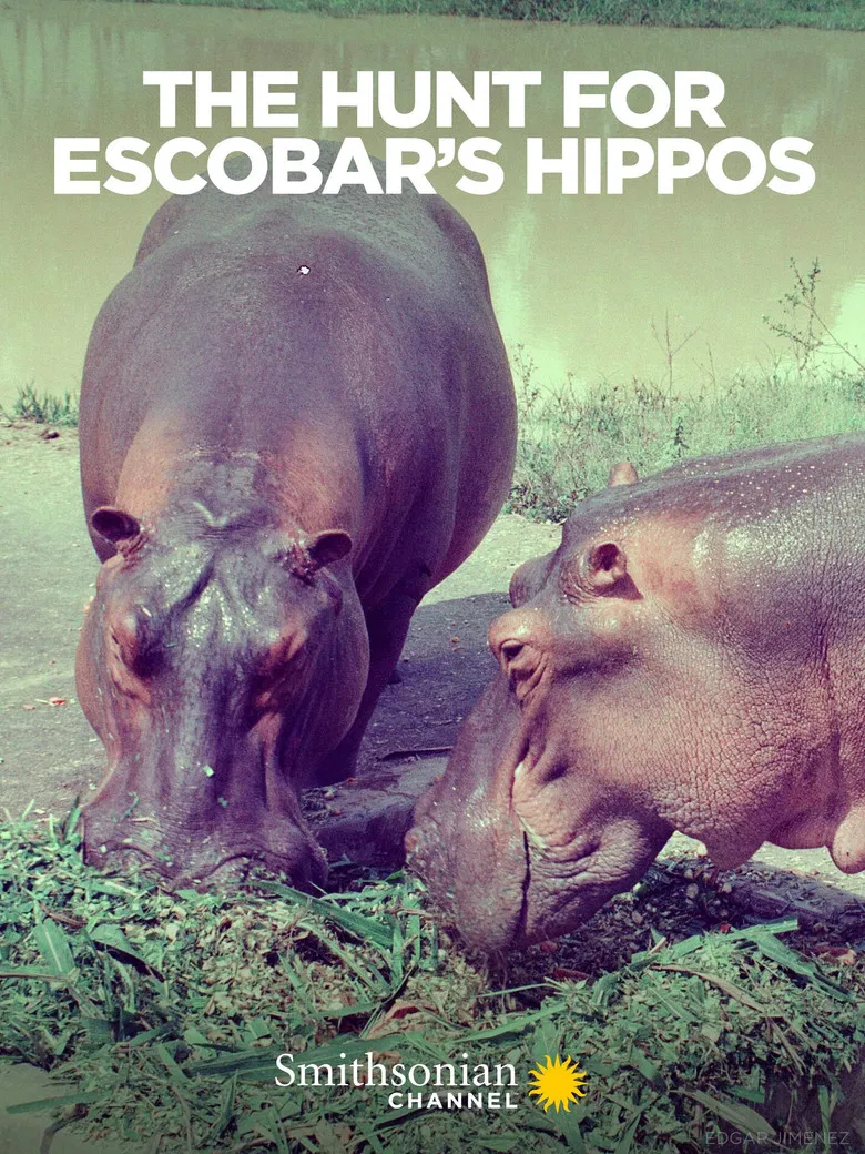 The Hunt for Escobar's Hippos poster background