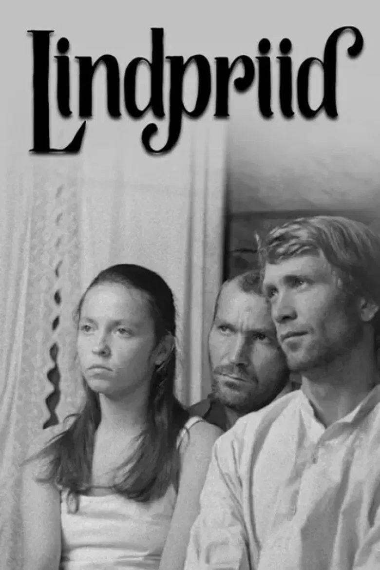 Outlaws poster background