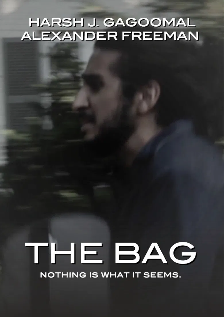 The Bag poster background
