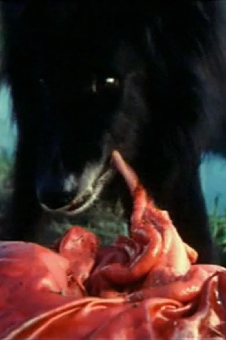 Hostel Party poster background