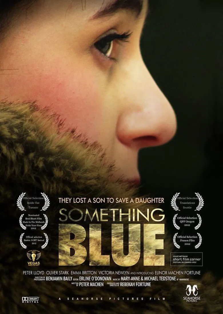 Something Blue poster background