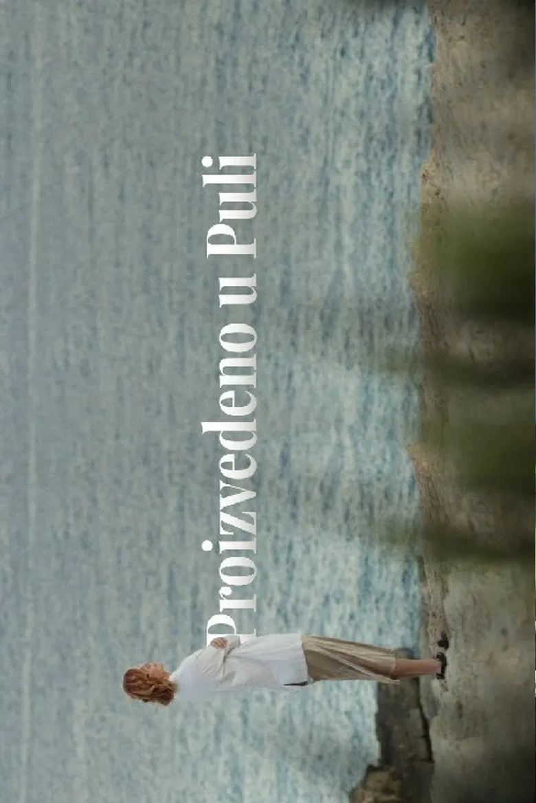 Made in Pula poster background