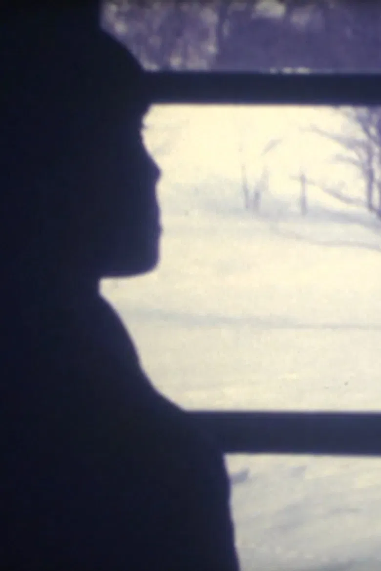 Winter has a dream poster background