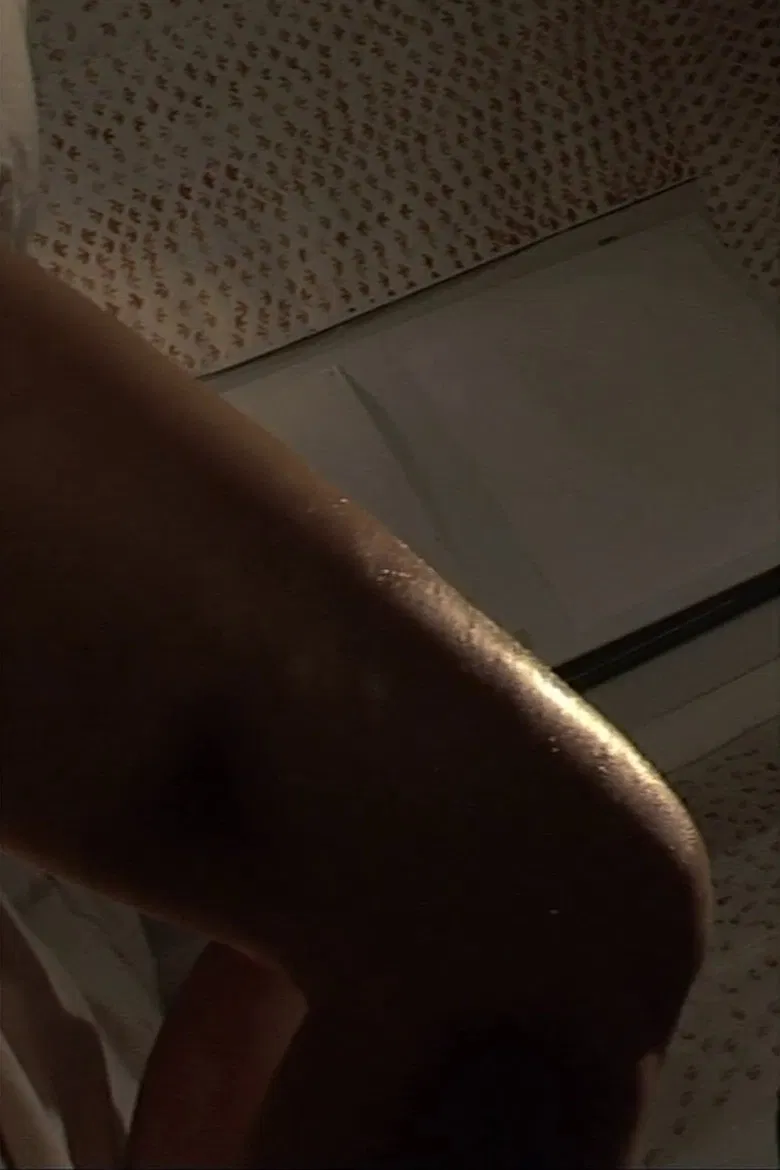 Body Double 25 poster background