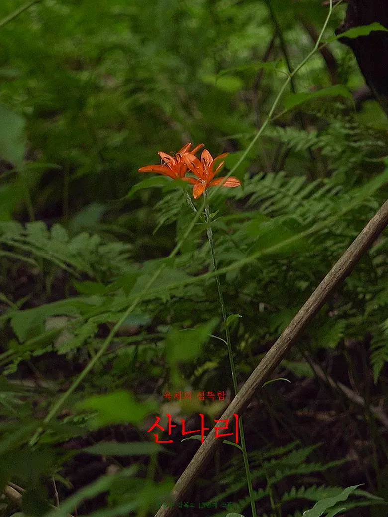 Sannari poster background