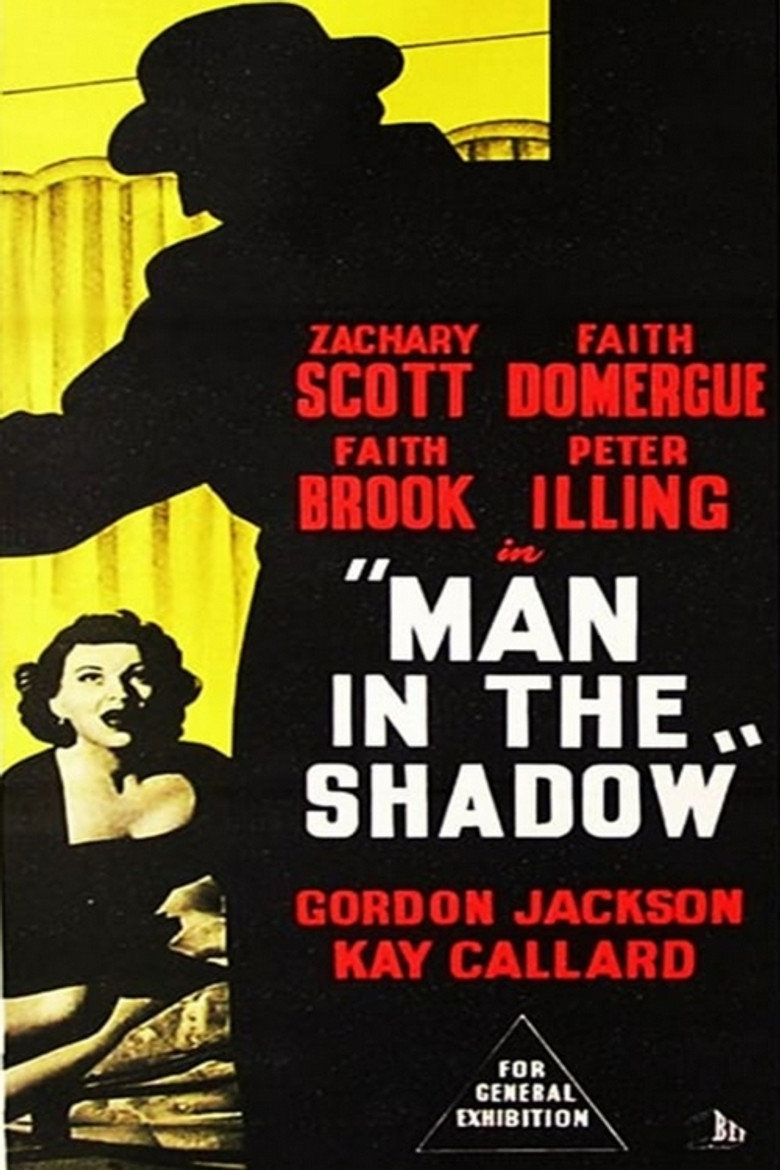 Man in the Shadow poster background