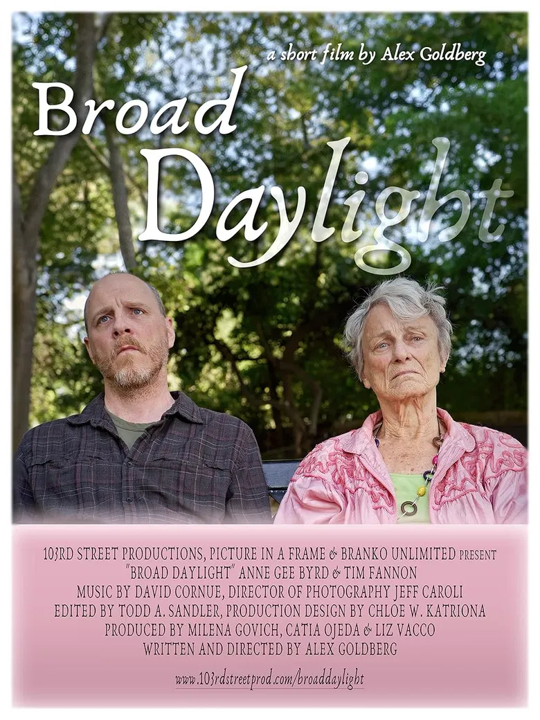 Broad Daylight poster background