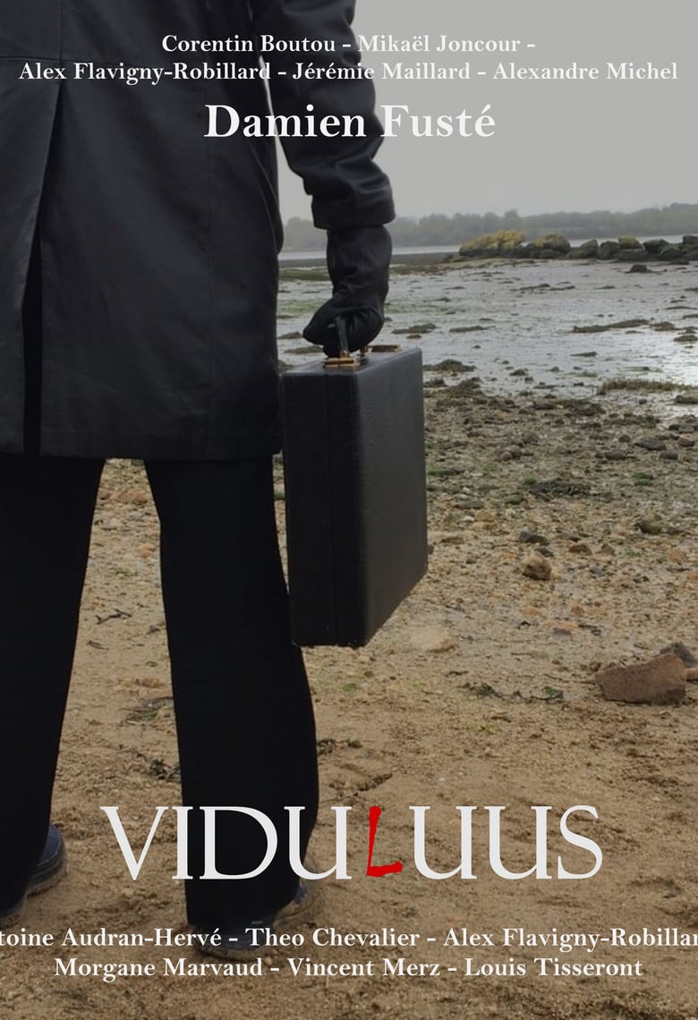 ViduLuus poster background