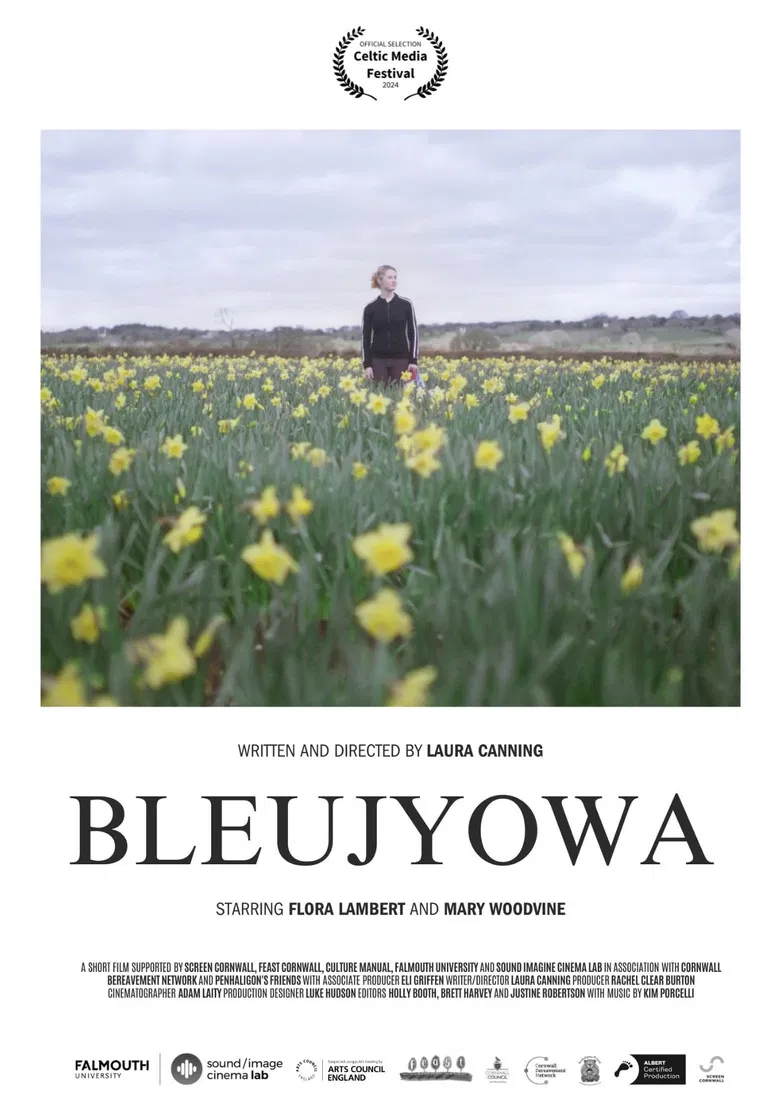 Bleujyowa poster background