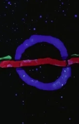 Twilight poster background