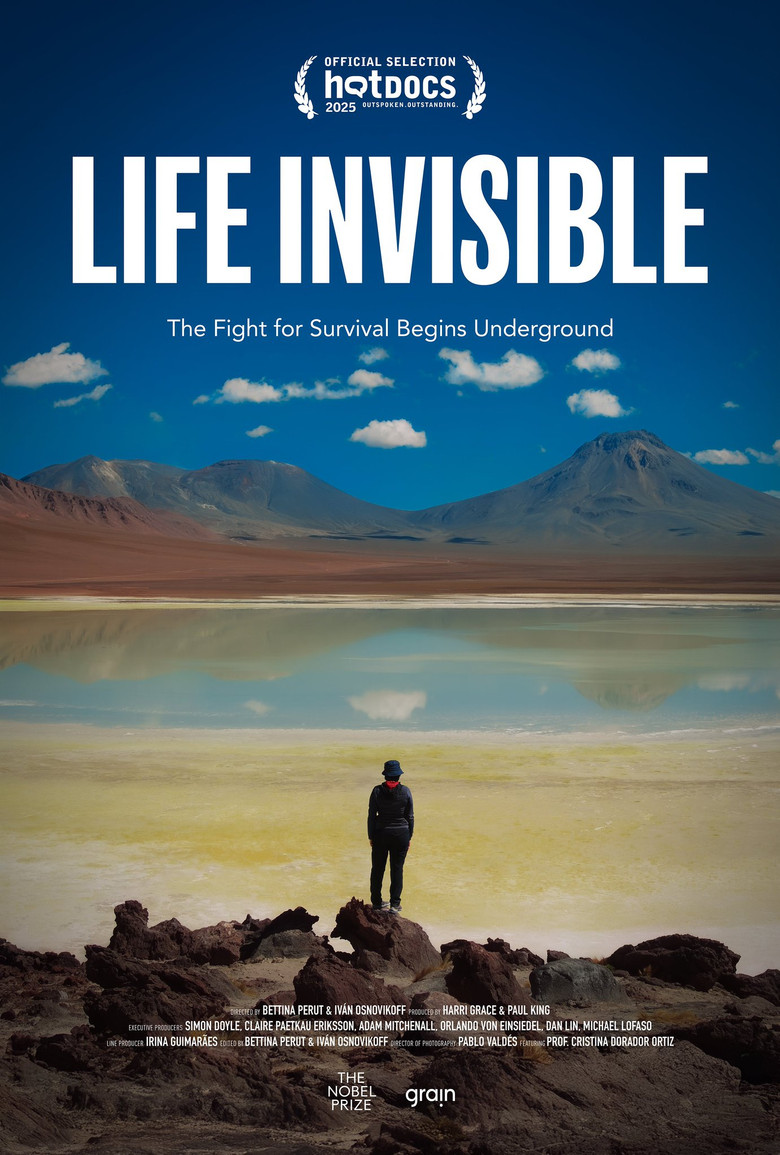 Life Invisible poster background
