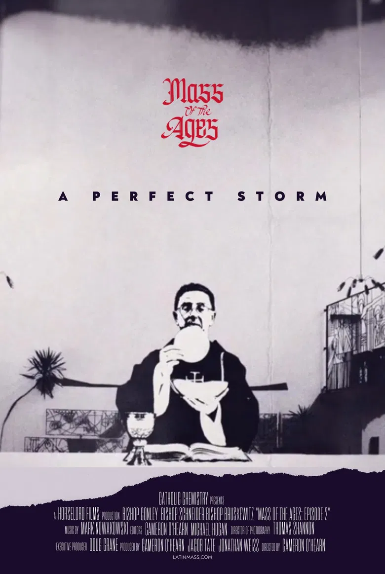 Mass of the Ages: A Perfect Storm poster background