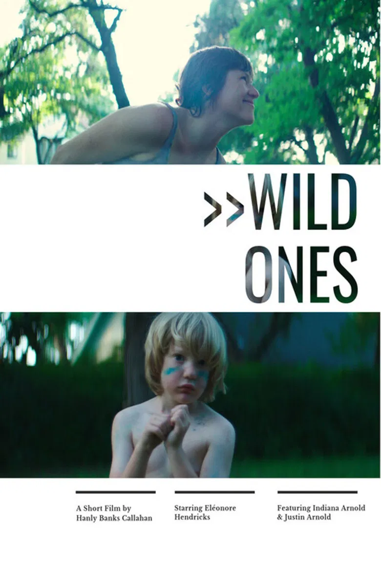 Wild Ones poster background