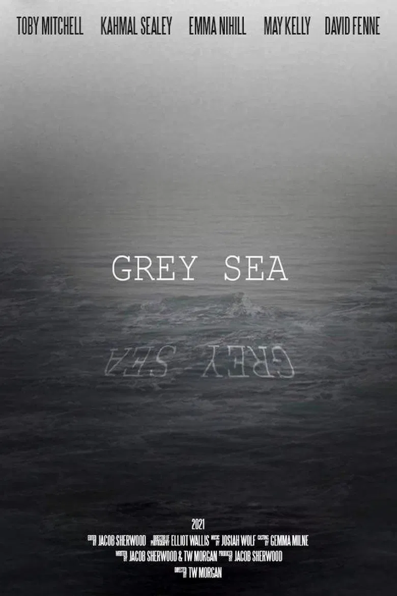 Grey Sea poster background