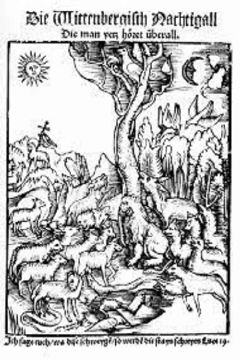 The Wittenberg Nightingale poster background