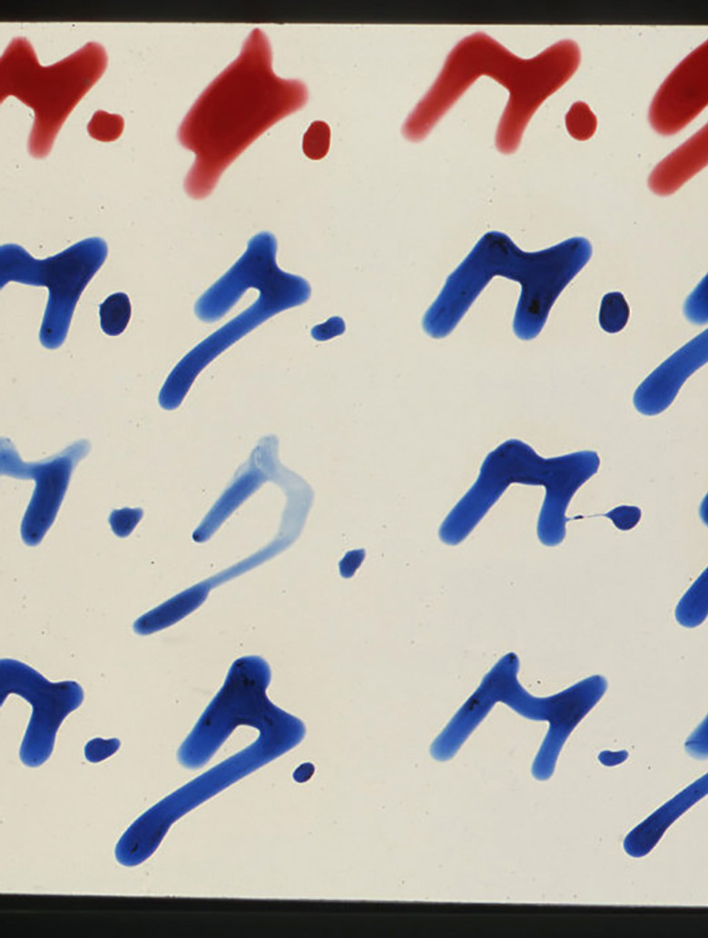 La signature poster background