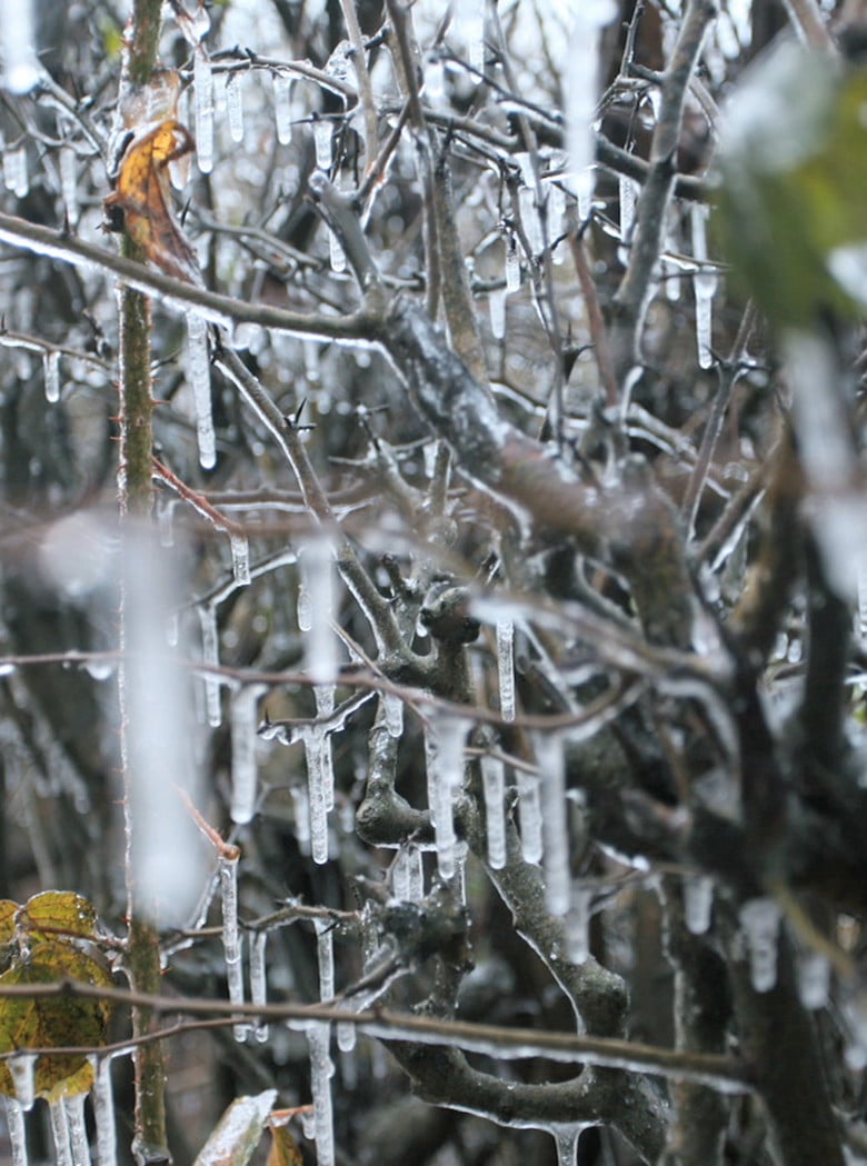 Maelstrom poster background