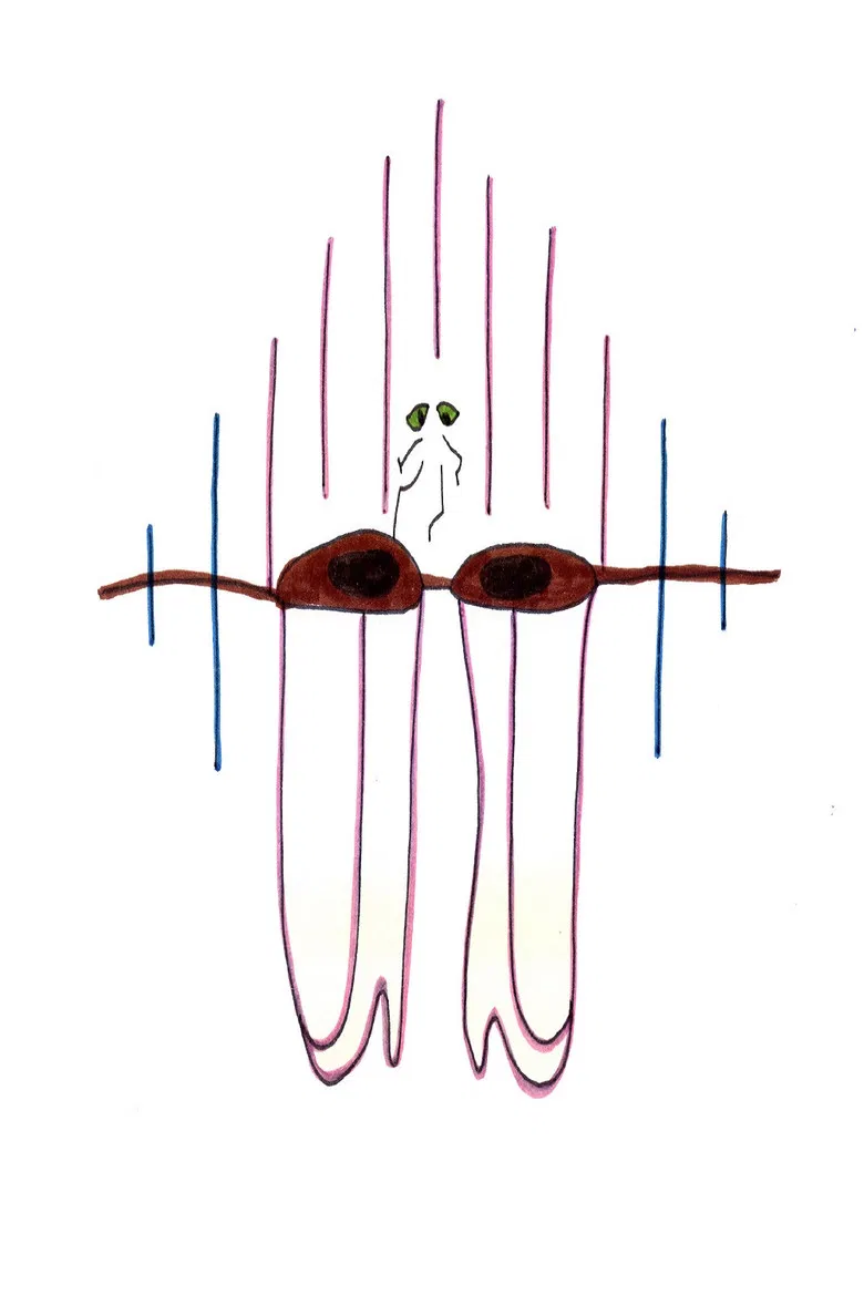 Big Brown Eyes poster background