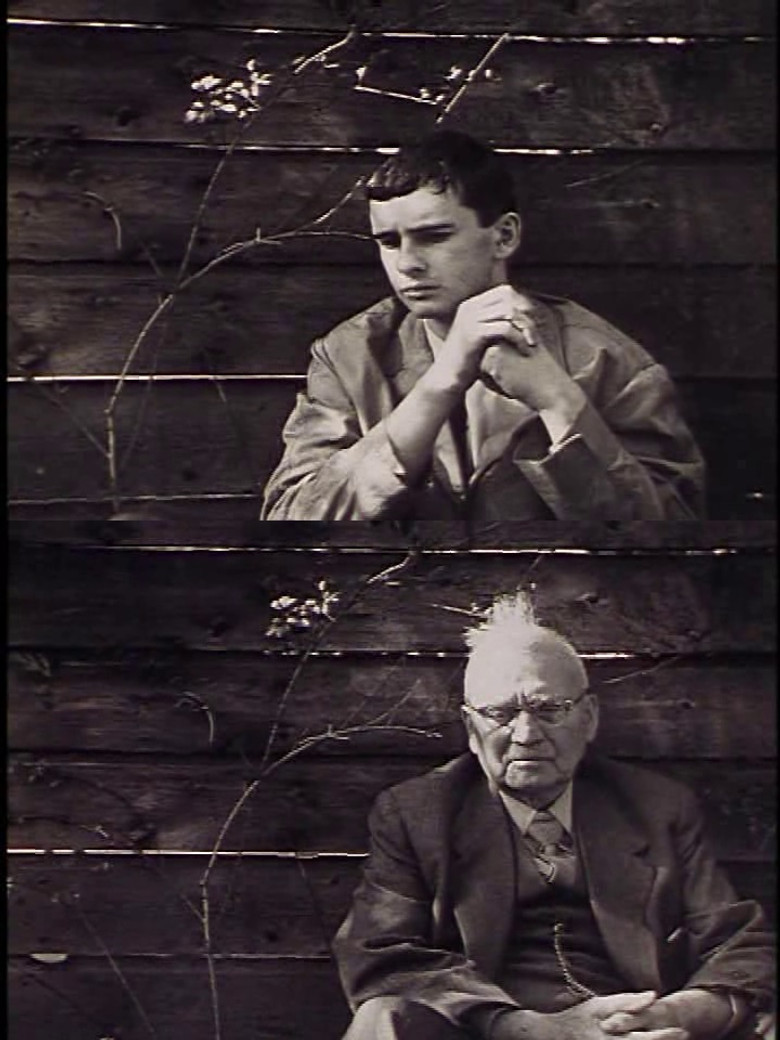 Filmmaker's Holiday poster background