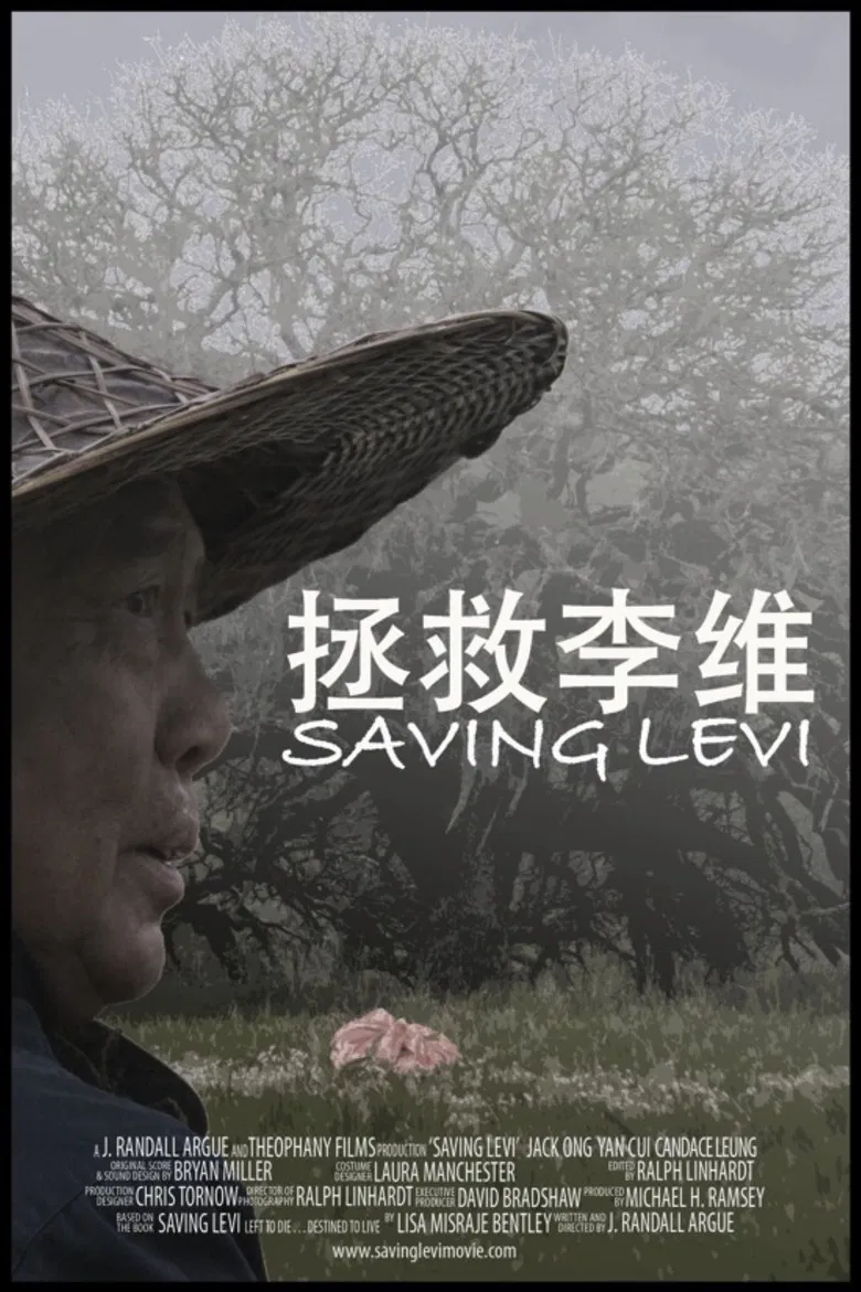 Saving Levi poster background