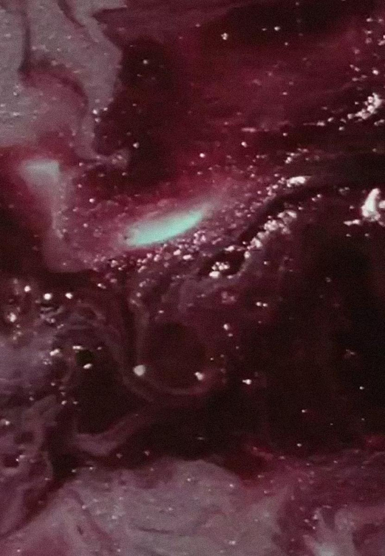 Richmond Study 2 - Monument Avenue poster background