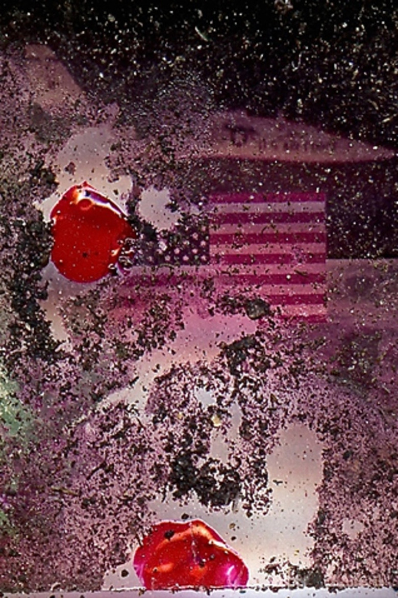 National Tapestry poster background