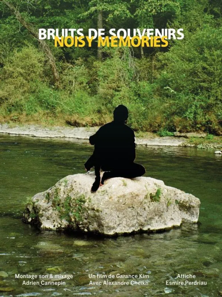 Bruits de souvenirs poster background