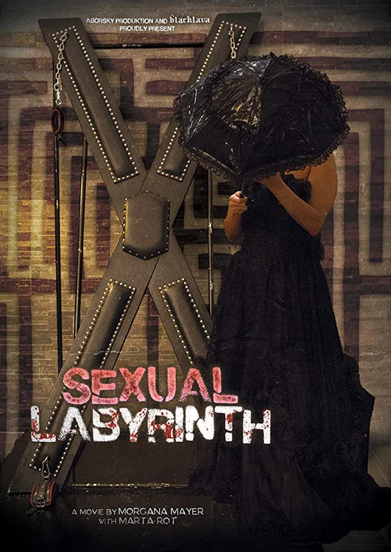 Sexual Labyrinth poster background