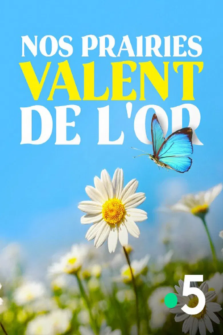 Nos prairies valent de l'or poster background