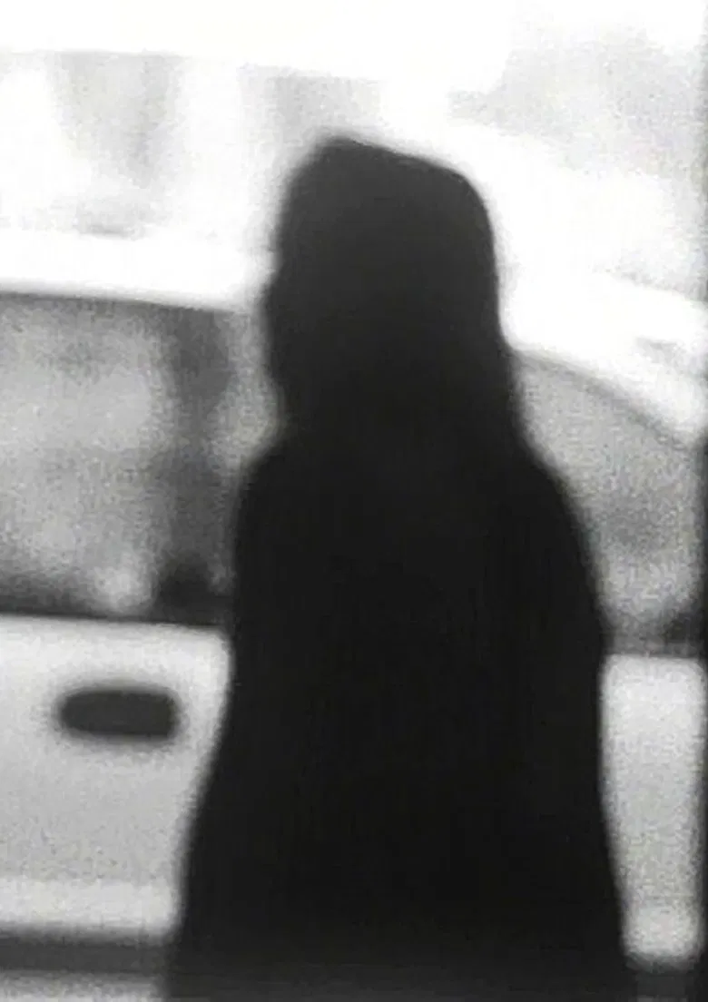 Paulina, Franz & Maria poster background