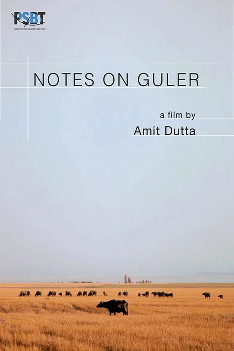 Notes on Guler poster background