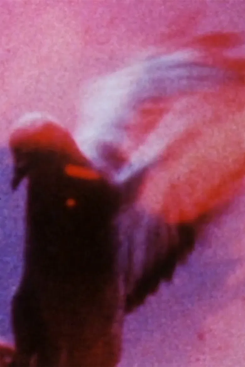 Long Eyes of the Earth poster background