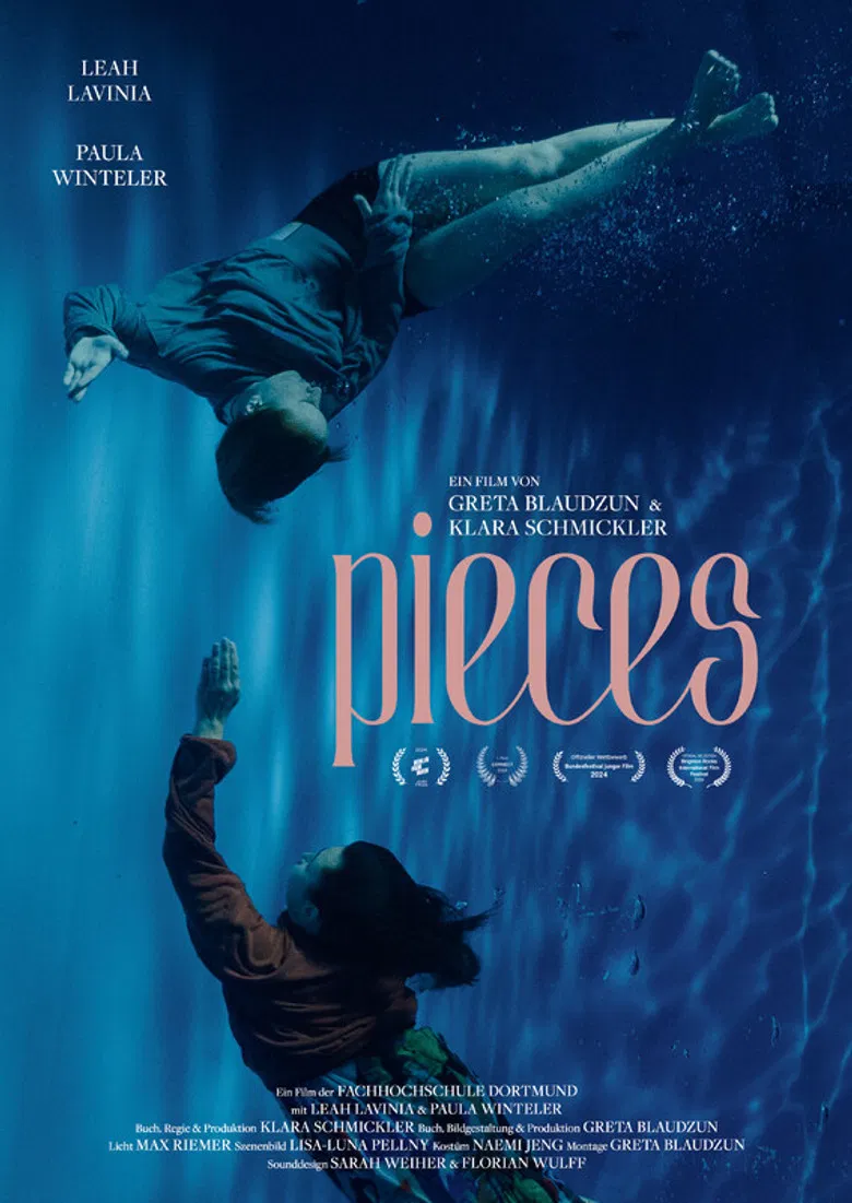 pieces poster background