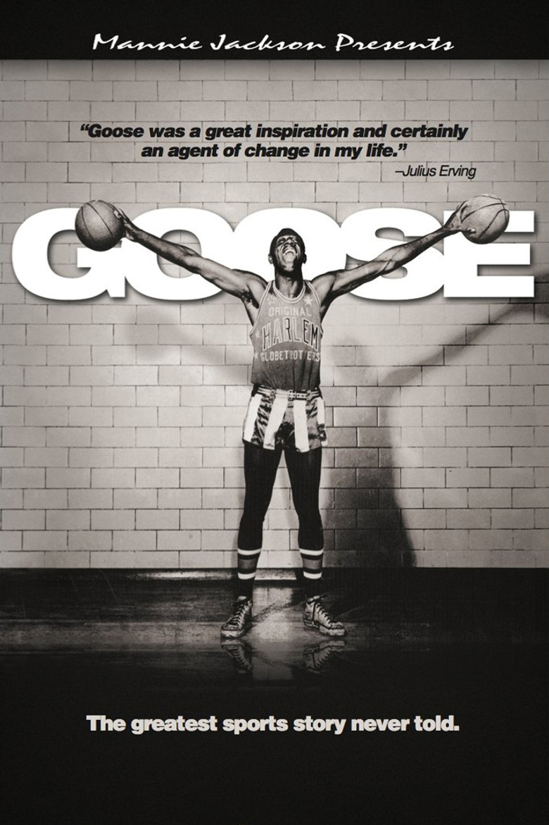 Goose poster background