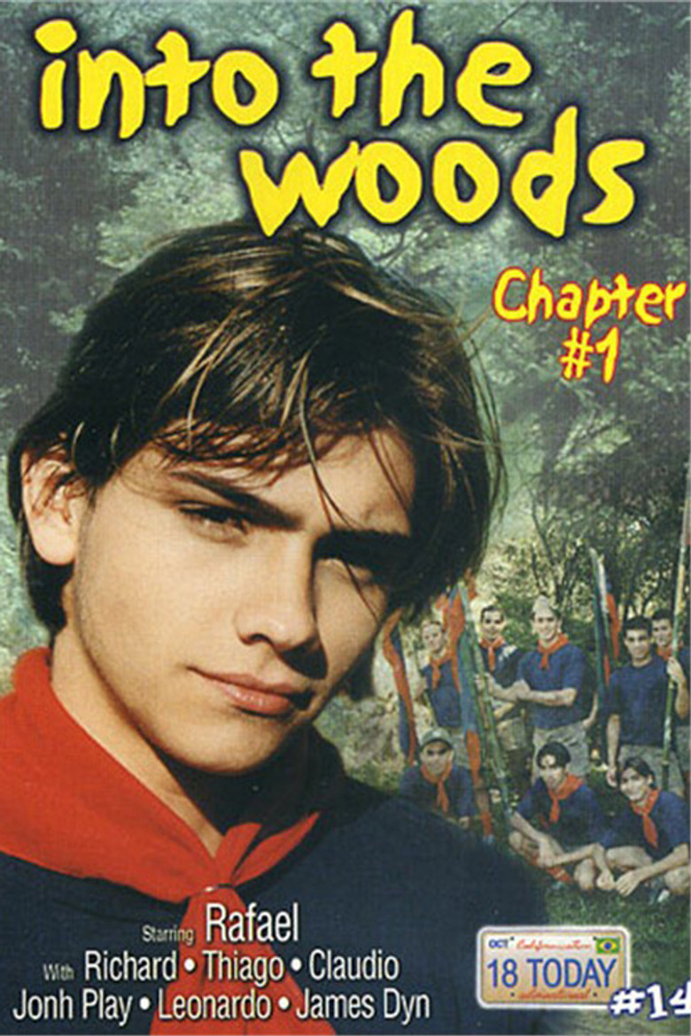 Into the Woods chapter 1 poster background