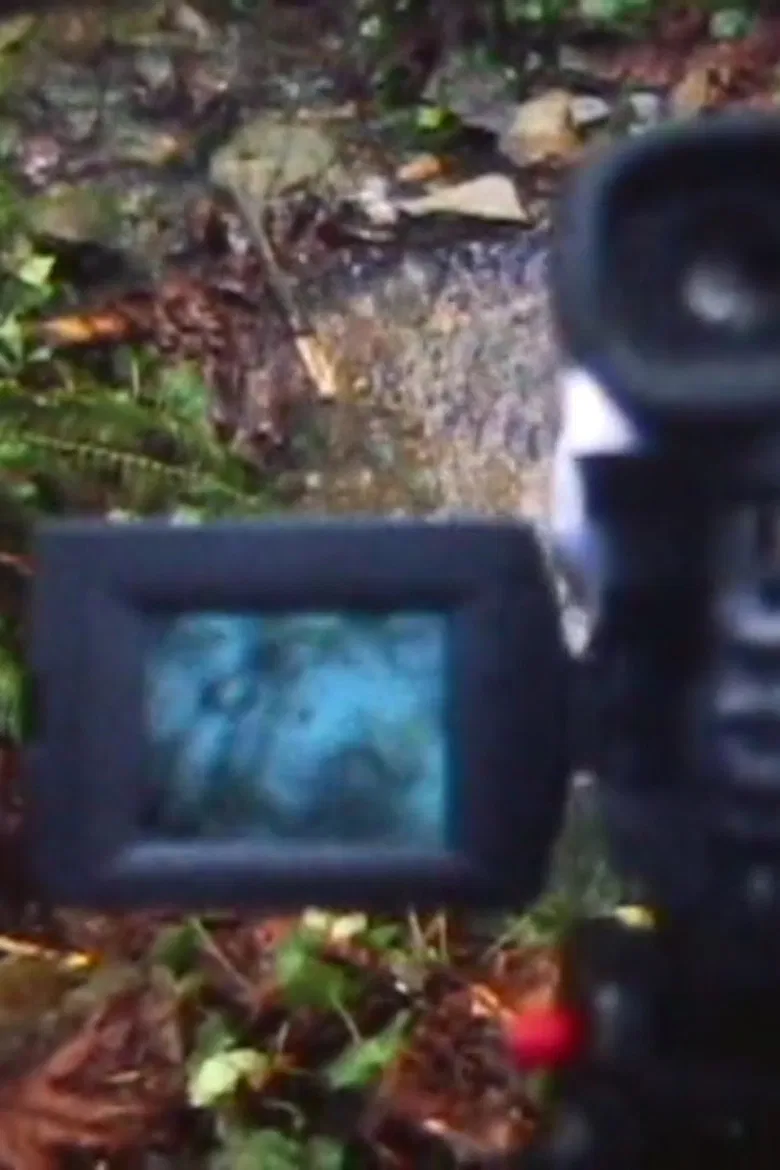 REMOTE VIEWING poster background