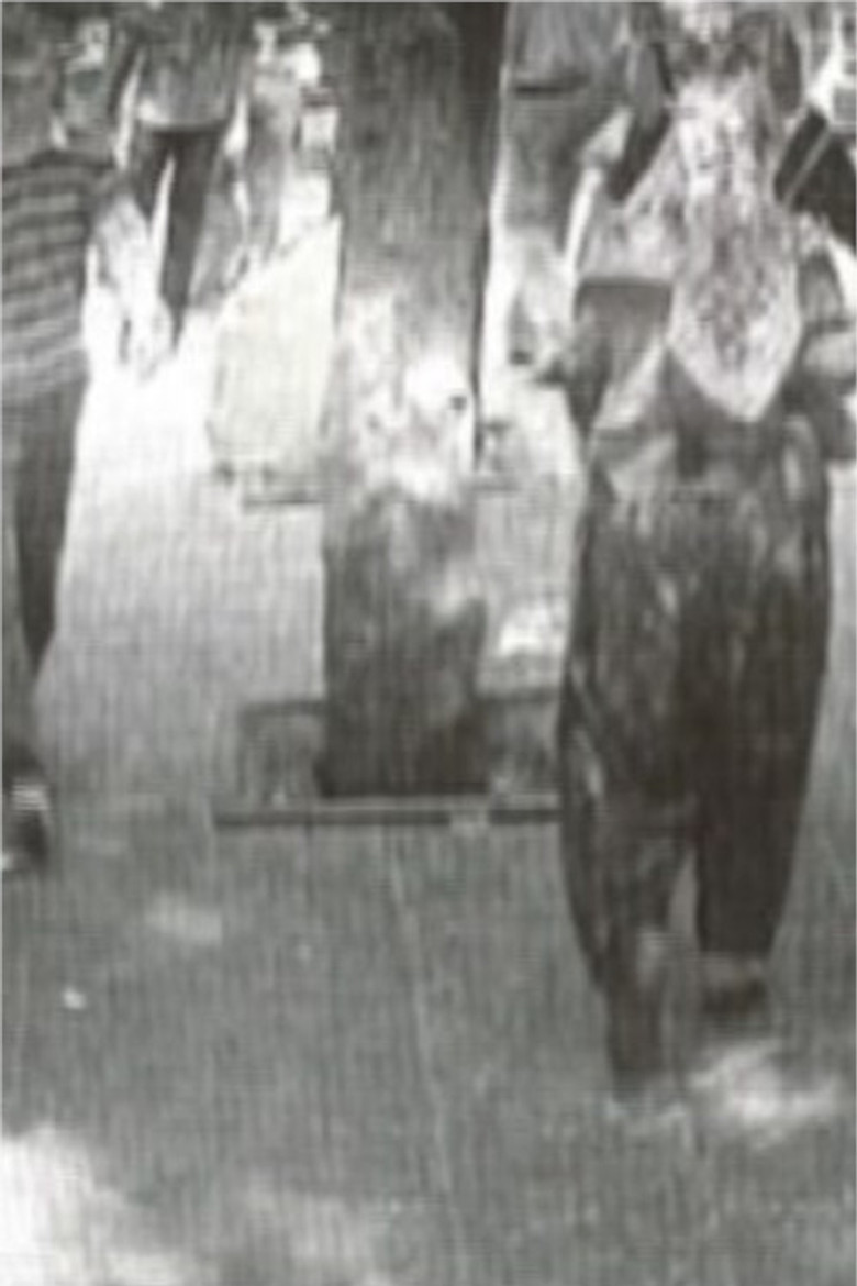 observation nest poster background