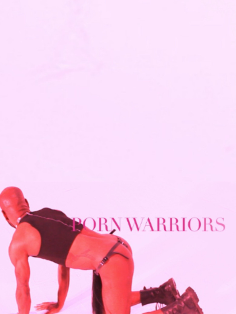 Porn Warriors poster background