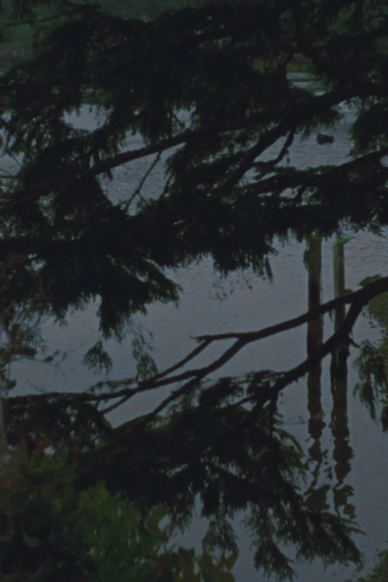 Saisonnier poster background