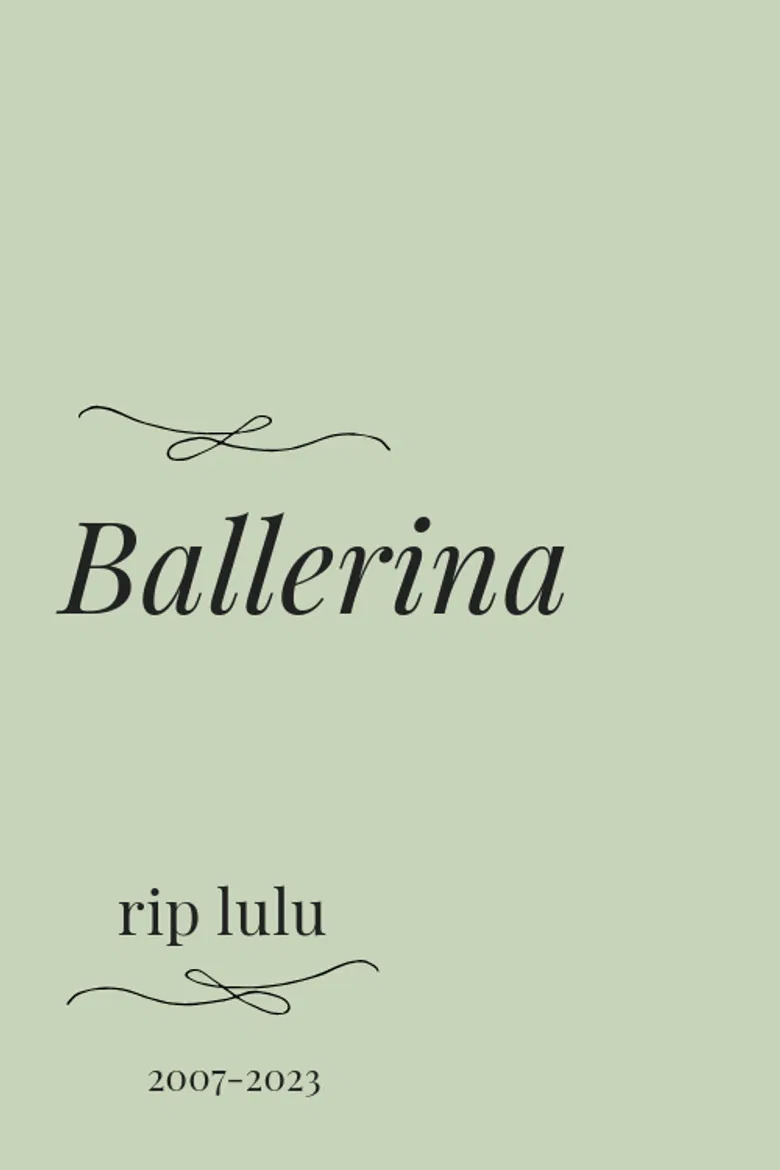 Ballerina poster background