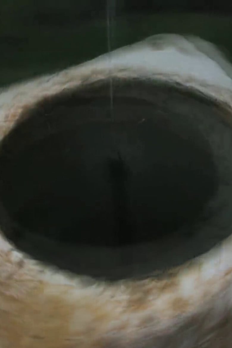 Stone Moss poster background