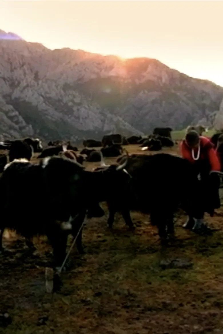 Tsampa poster background