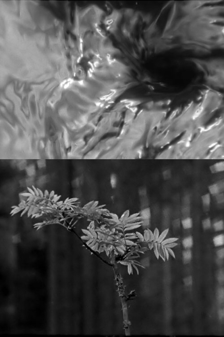 The Rainbow poster background