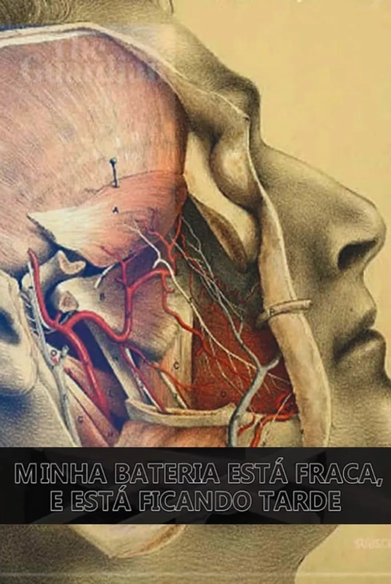 Minha Bateria Está Fraca e Está Ficando Tarde poster background