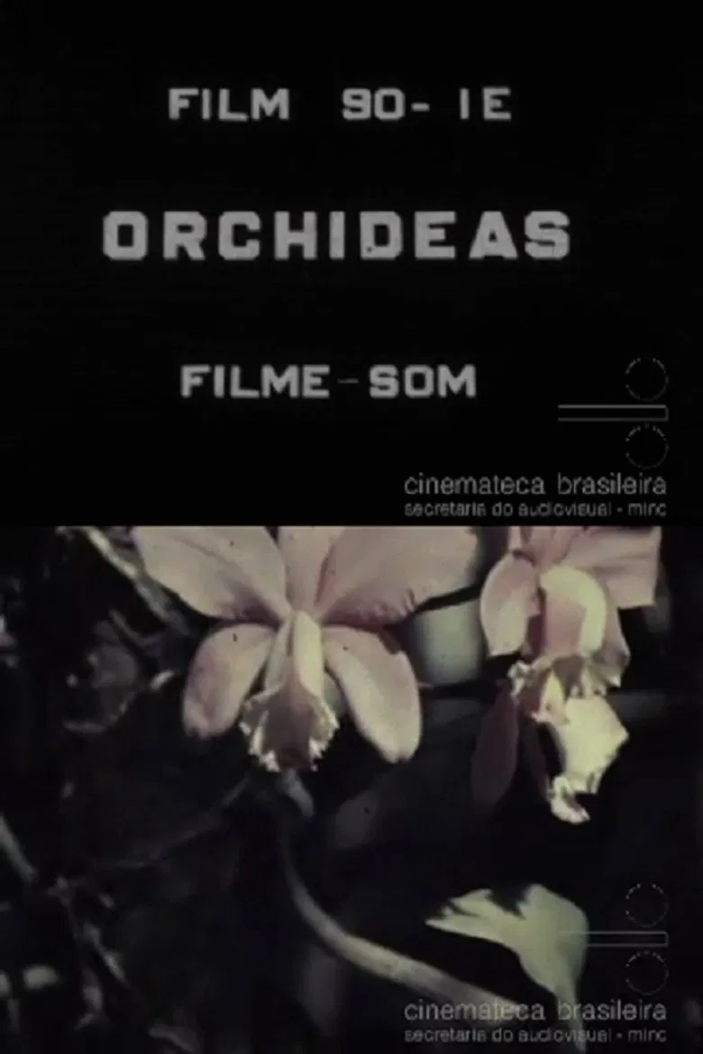 Orchids poster background