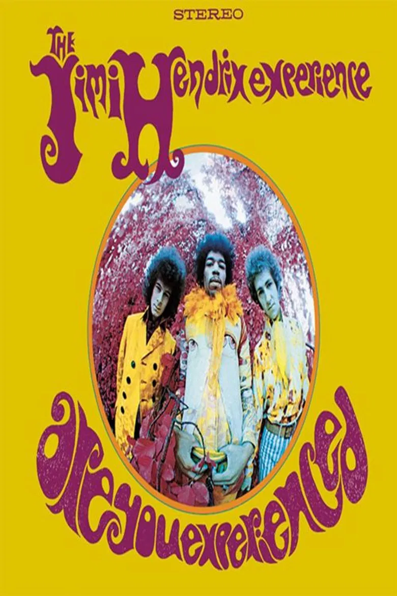 Are You Experienced poster background