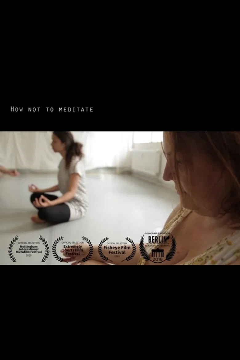 How Not To Meditate poster background